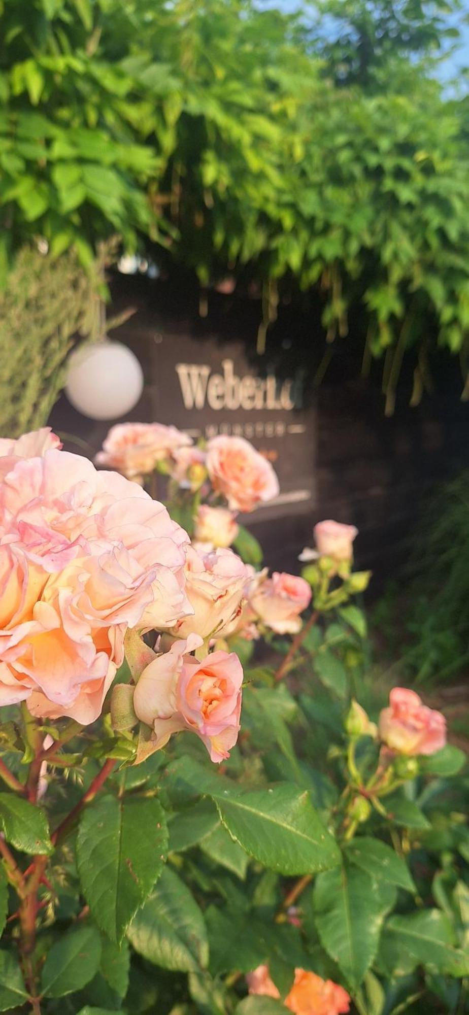Weberhof-muenster Glamping *